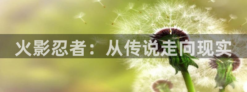 韩国漫画 韩漫