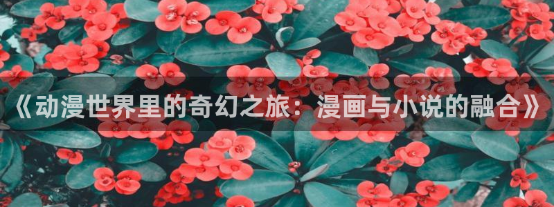 韩漫官网首页在线观看：《动漫世界里的奇幻之旅：漫画与小说的融合》