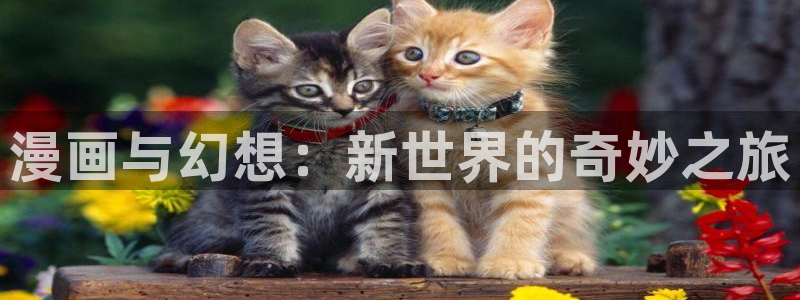 韩漫漫画免费全部在线阅读：漫画与幻想：新世界的奇妙之旅