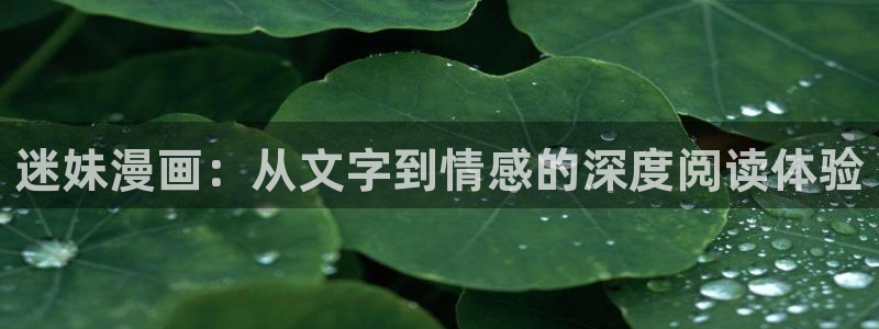 阿巴韩漫免费下拉式漫画：迷妹漫画：从文字到情感的深度阅读体验