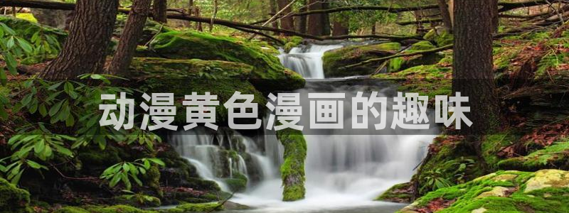韩漫漫画在线看网站：动漫黄色漫画的趣味