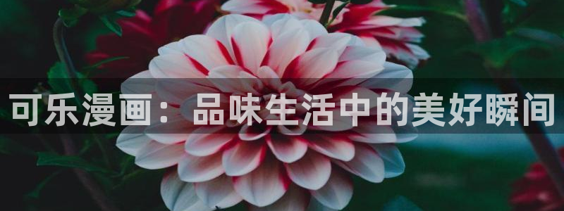 韩漫bjalex