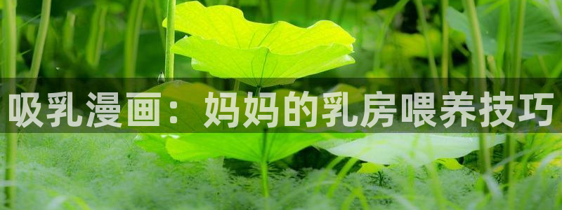 韩漫bl免费在线观看