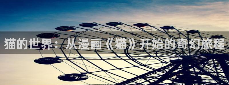 黄色韩漫无删减免费观看：猫的世界：从漫画《猫》开始的奇幻旅程