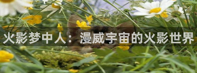 韩漫免费网站无遮挡软件：火影梦中人：漫威宇宙的火影世界