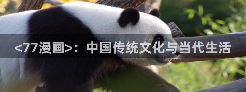 和平之上韩漫在线观看：<77漫画>：中国传统文化与当代生活
