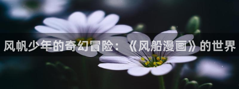 韩漫在哪里看：风帆少年的奇幻冒险：《风船漫画》的世界